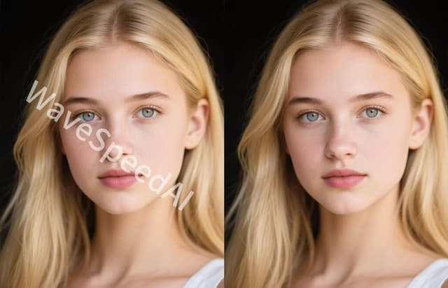 wavespeed-ai/image-watermark-remover